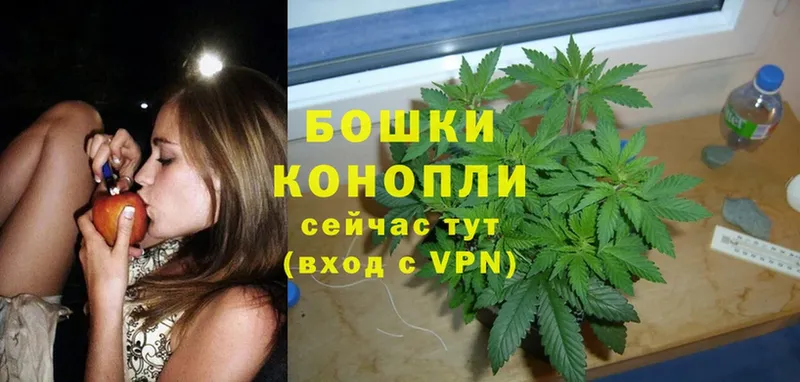 Бошки марихуана Ganja  Ногинск 